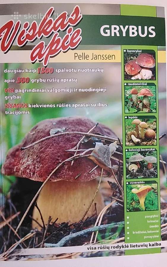 Viskas apie grybus