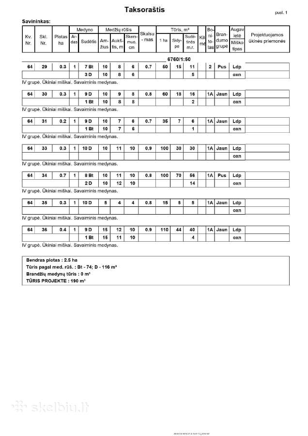 Parduodami miškai Pasvalio raj., Saločių sen., - nuotraukos Nr. 4