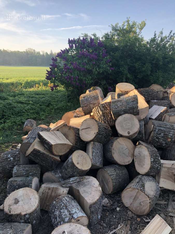 Malkos pigiai
