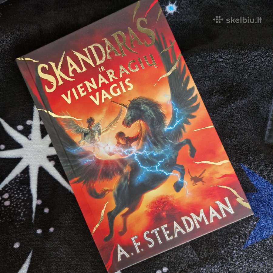 Skandaras ir vienaragių vagis. 1 knyga A.f. Steadm