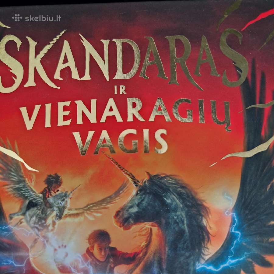 Skandaras ir vienaragių vagis. 1 knyga A.f. Steadm - nuotraukos Nr. 2