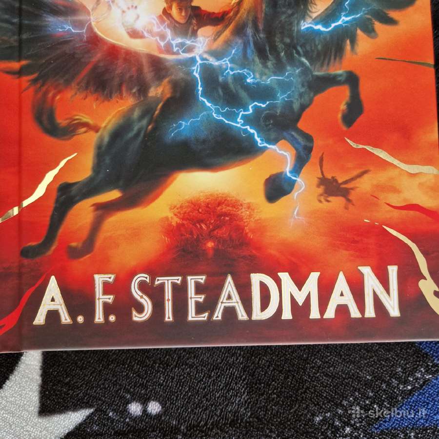 Skandaras ir vienaragių vagis. 1 knyga A.f. Steadm - nuotraukos Nr. 3