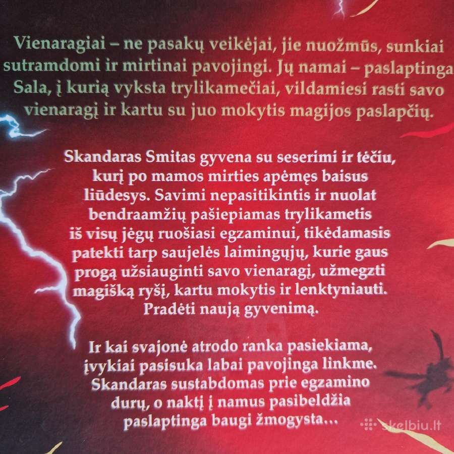 Skandaras ir vienaragių vagis. 1 knyga A.f. Steadm - nuotraukos Nr. 6