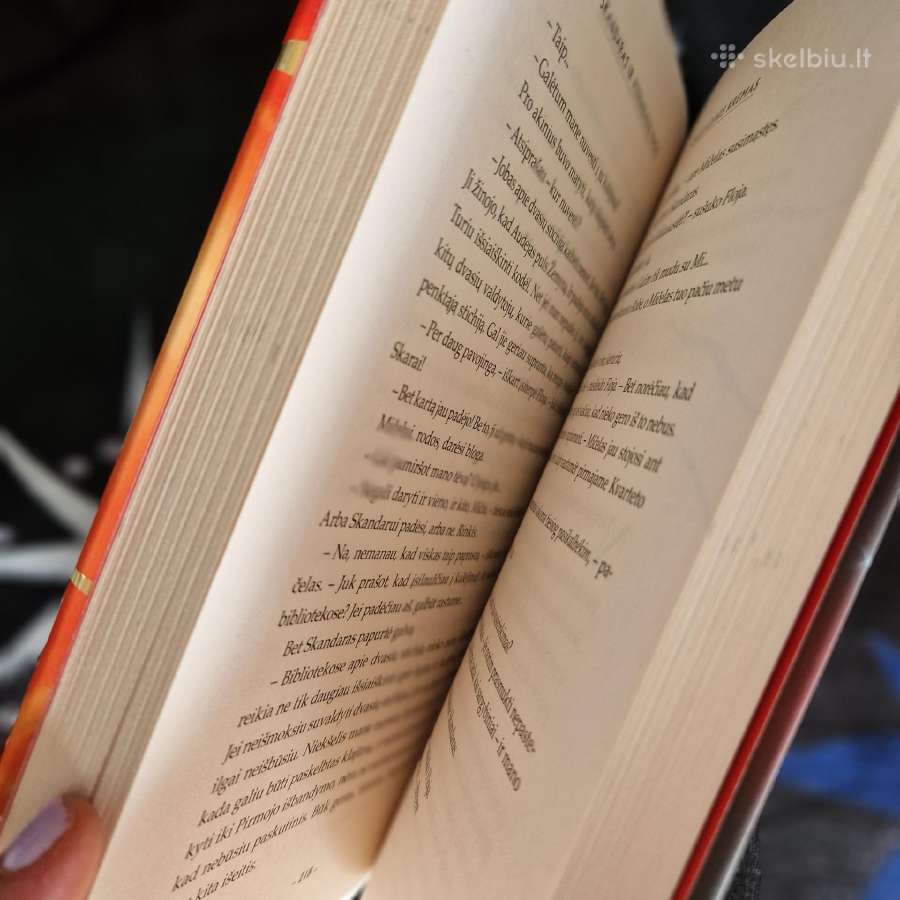 Skandaras ir vienaragių vagis. 1 knyga A.f. Steadm - nuotraukos Nr. 8