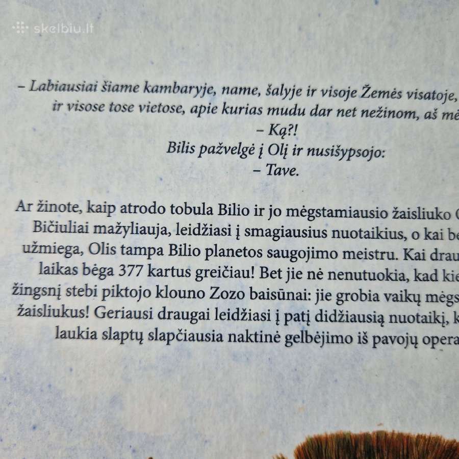 Nauja knyga "Olio odisėja" - nuotraukos Nr. 3