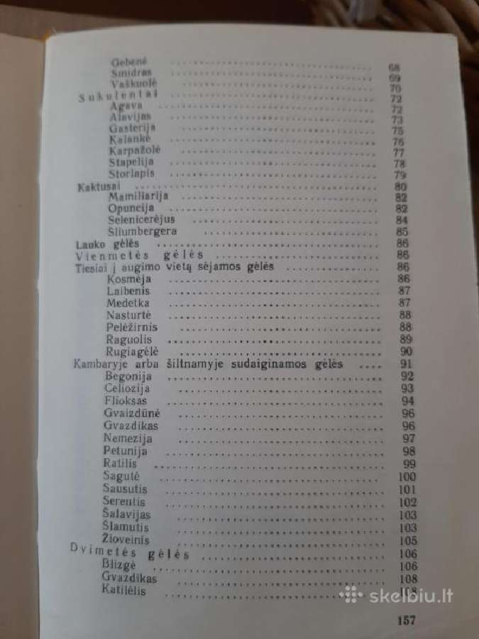 Jaunajam gėlininkui - nuotraukos Nr. 4