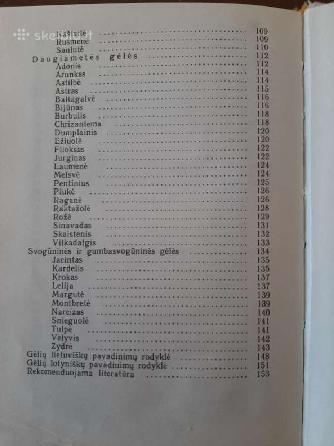 Jaunajam gėlininkui - nuotraukos Nr. 5