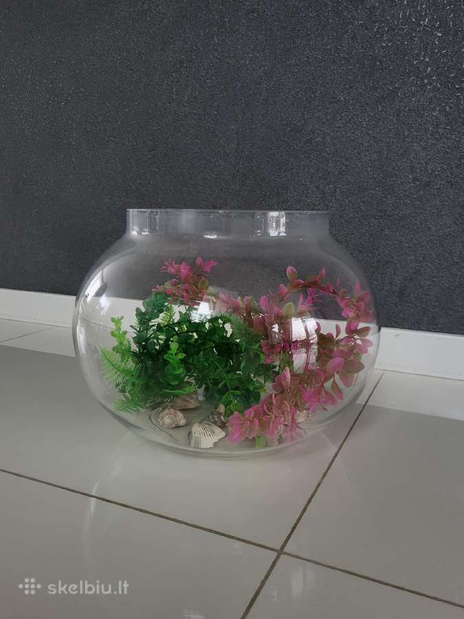 Akvariumas su filtru ir kitais priedais
