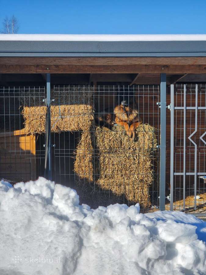 Siaudu kitkos kitkas, siaudai - nuotraukos Nr. 5