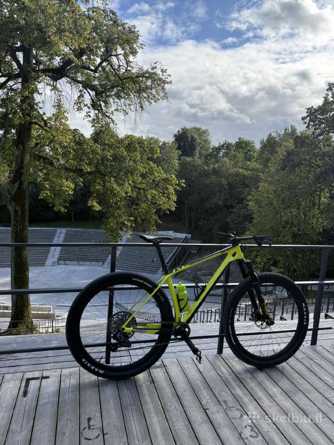 Scott scale RC World Cup AXS L Dydis