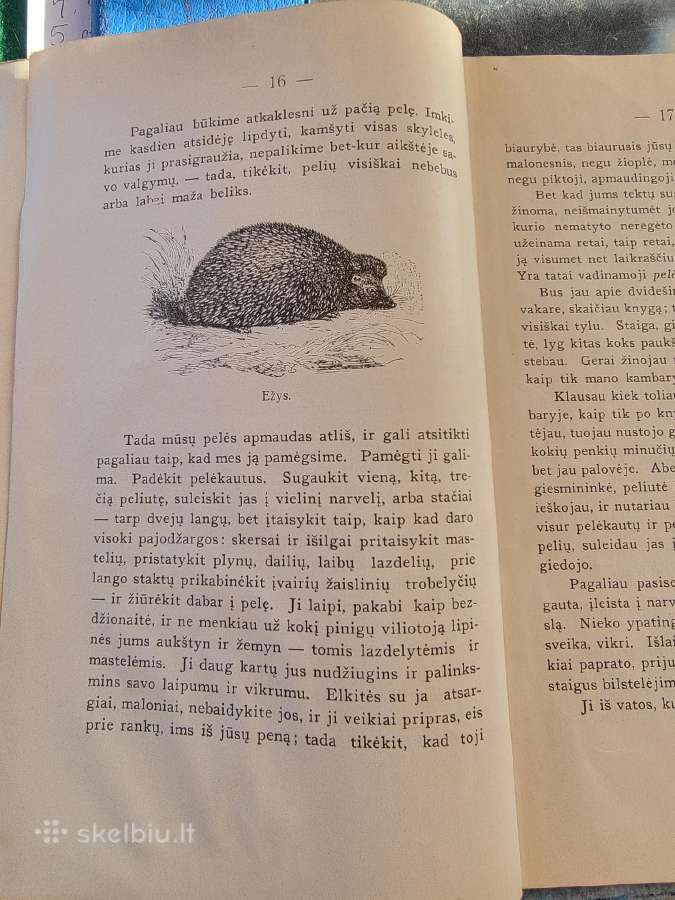1929 m.m.bogdanovo knyga "Visuomenės įnamiai" - nuotraukos Nr. 4