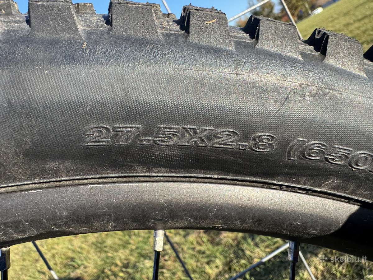 Whyte 901 - nuotraukos Nr. 5