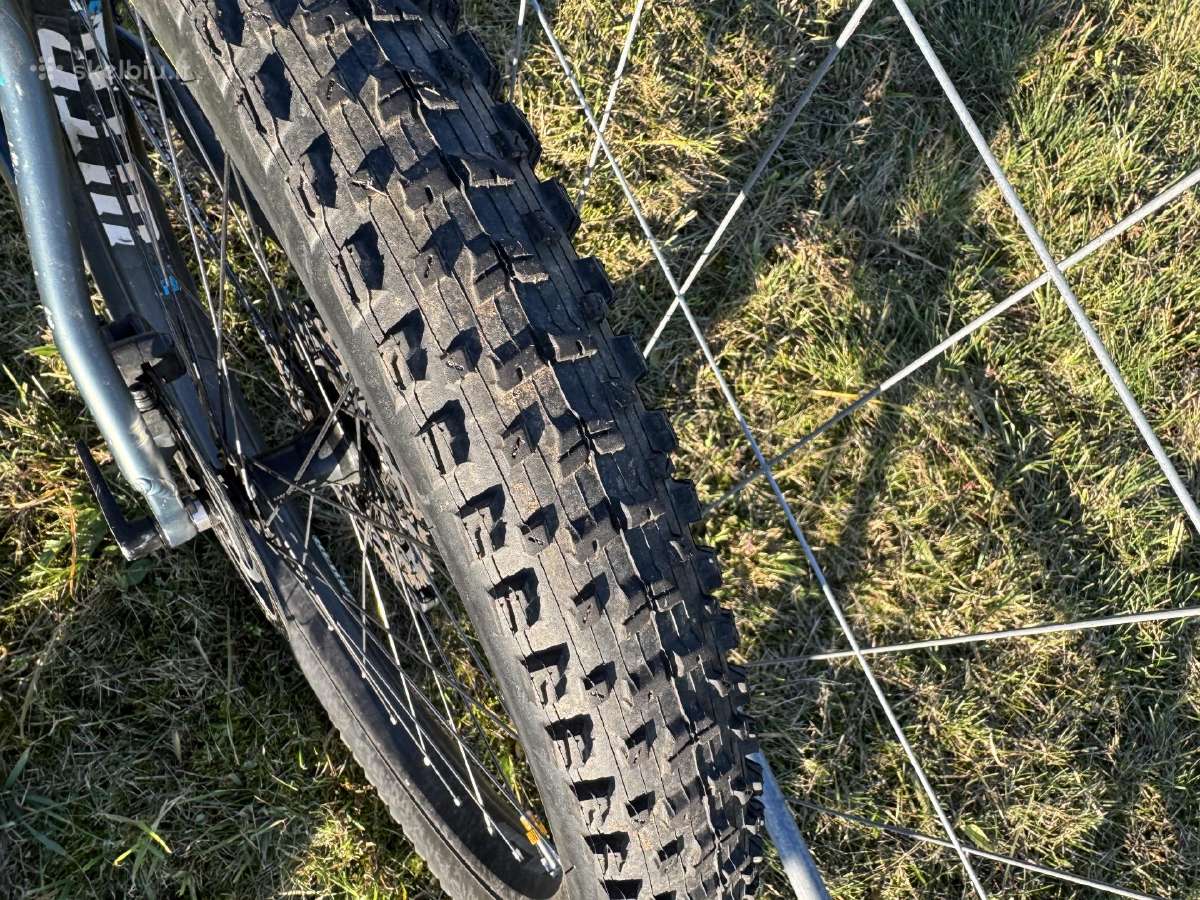 Whyte 901 - nuotraukos Nr. 6