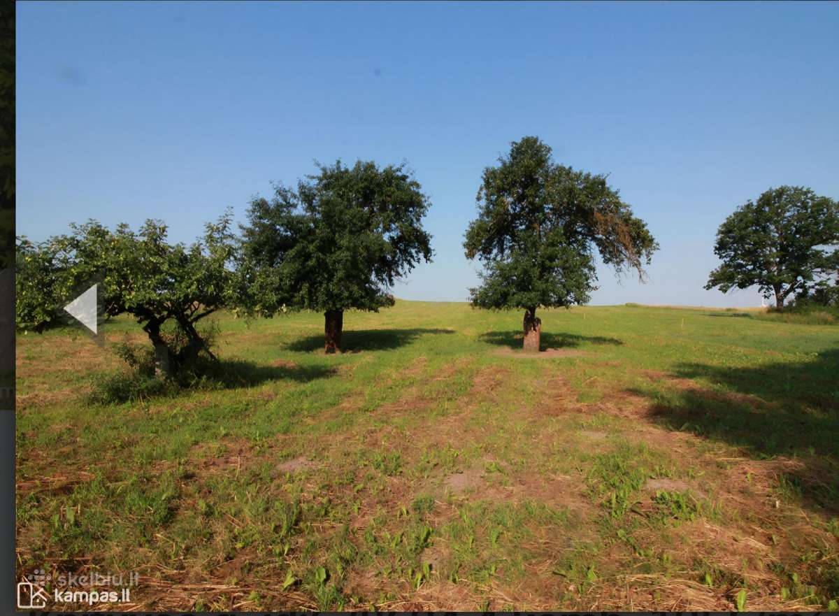 Autentišką sodybą Kelmės raj. Pikelių km. - nuotraukos Nr. 15
