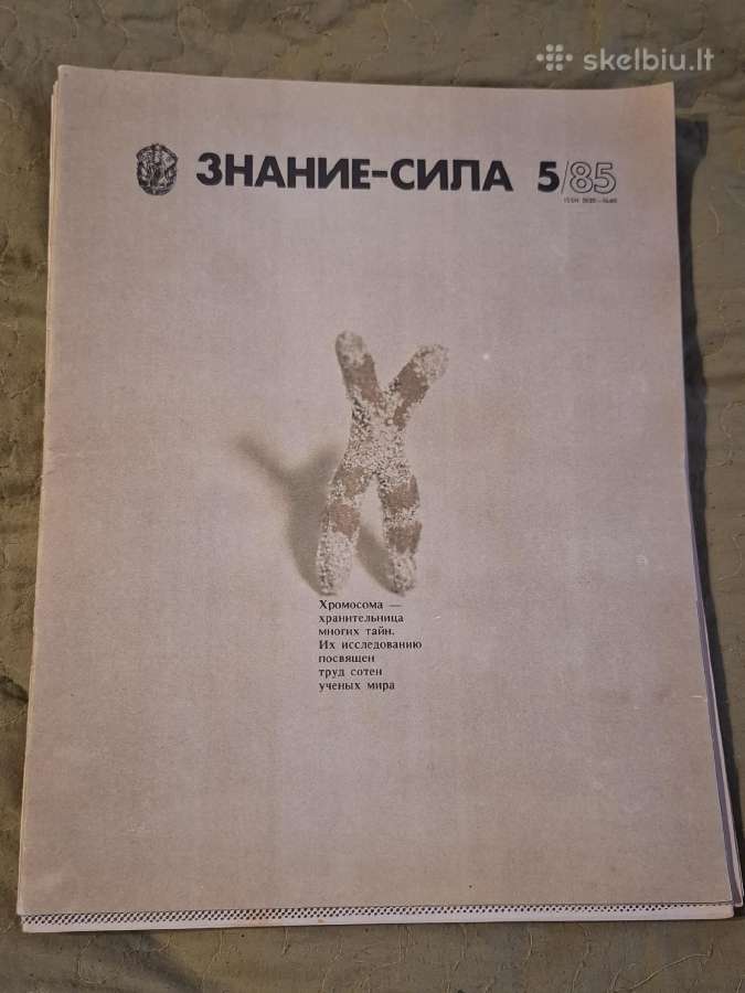 Žinios jėga - nuotraukos Nr. 10