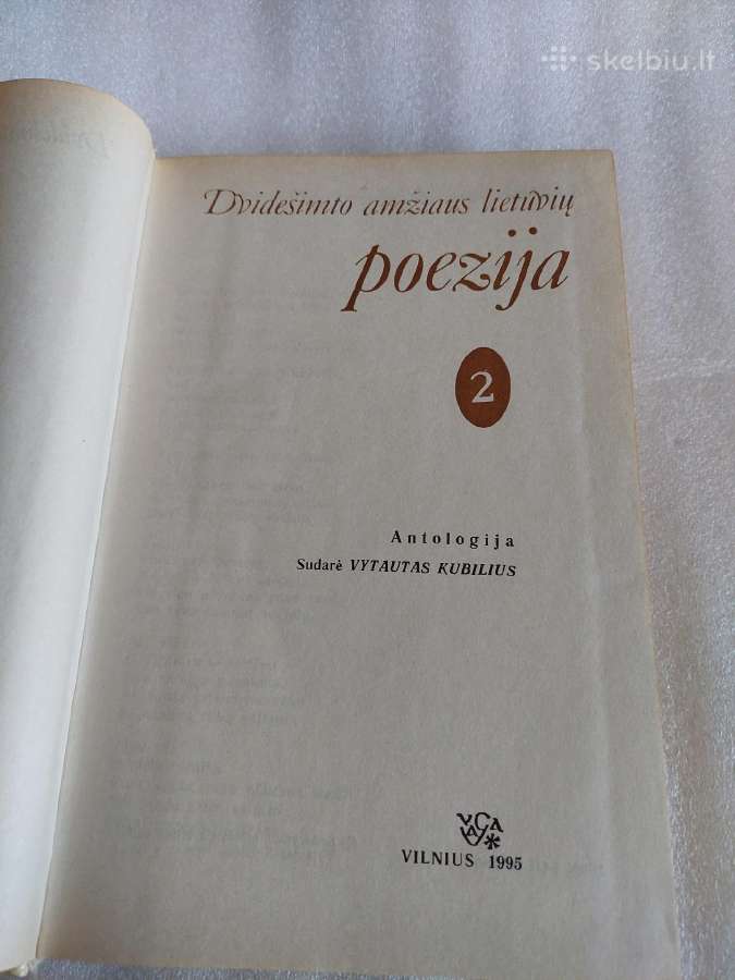Dvidešimto amžiaus lietuvių poezija 2 - nuotraukos Nr. 2