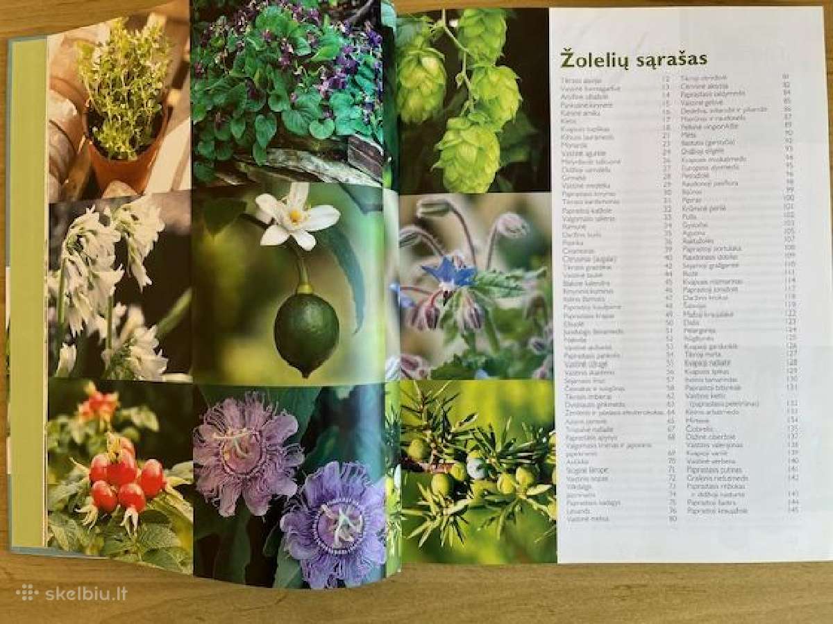 Albumas apie Žoleles (naujas) - nuotraukos Nr. 3