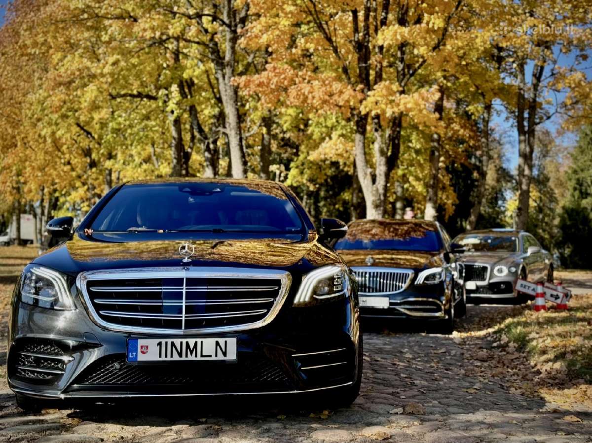 Jaunavedžių Transport Prabangūs Automobiliai Nuoma - nuotraukos Nr. 38