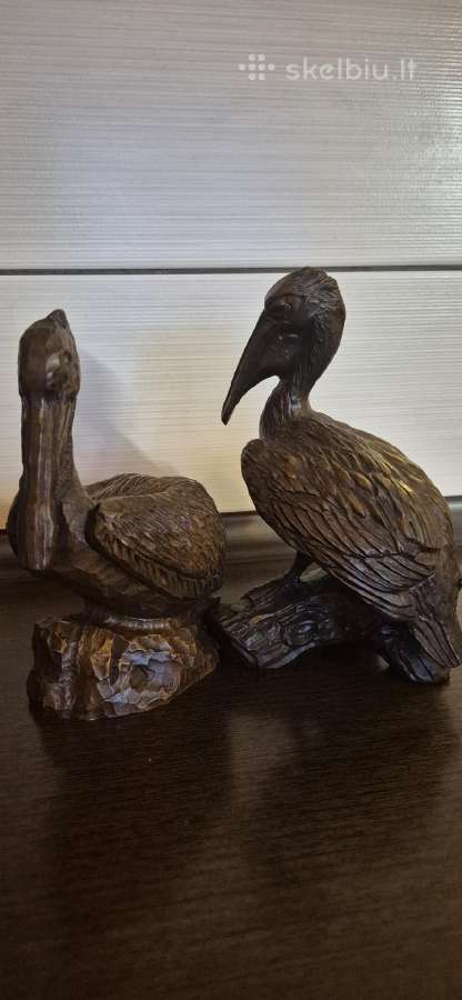 Pelikanai usa