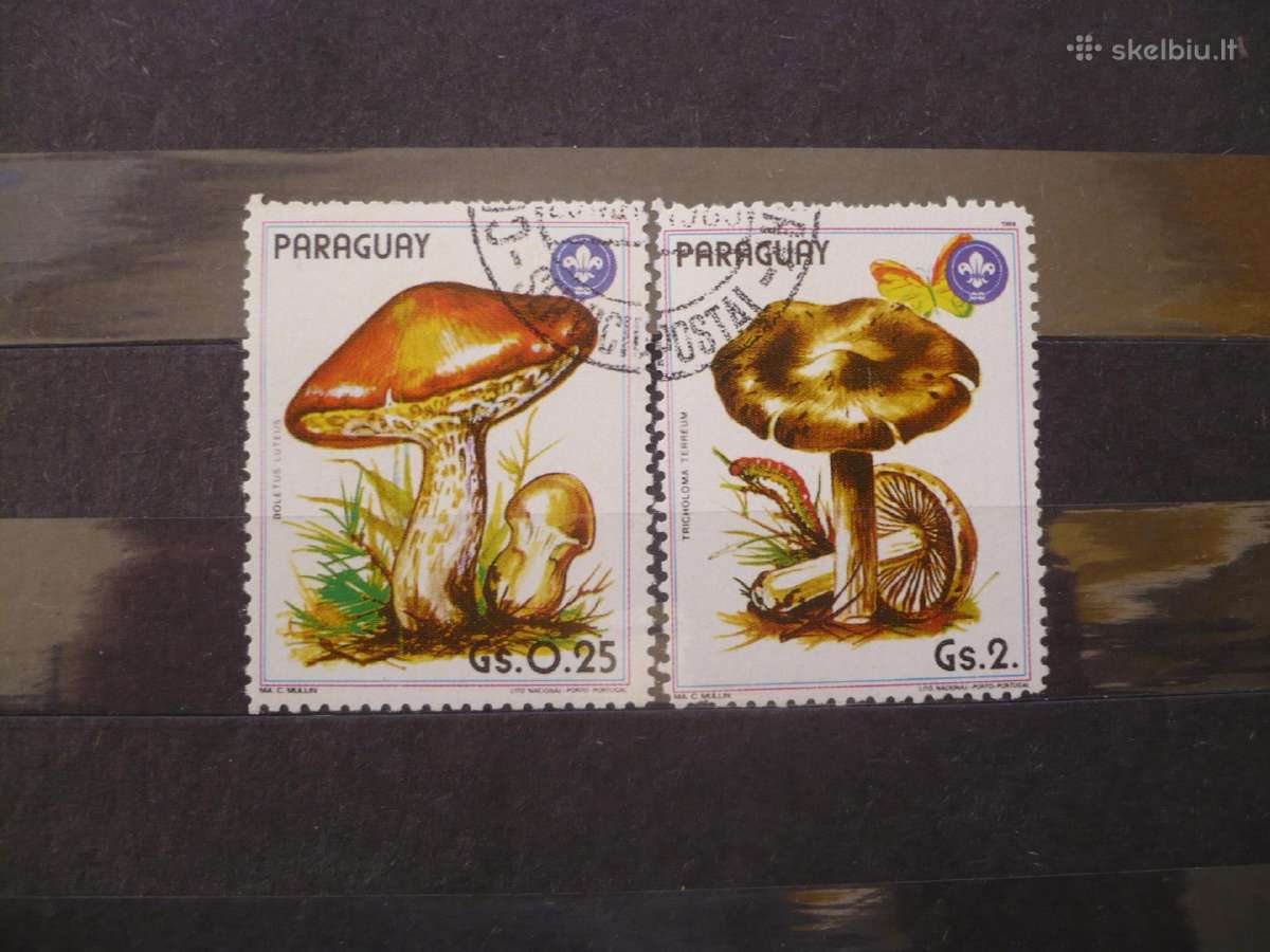 1985 m. Grybai