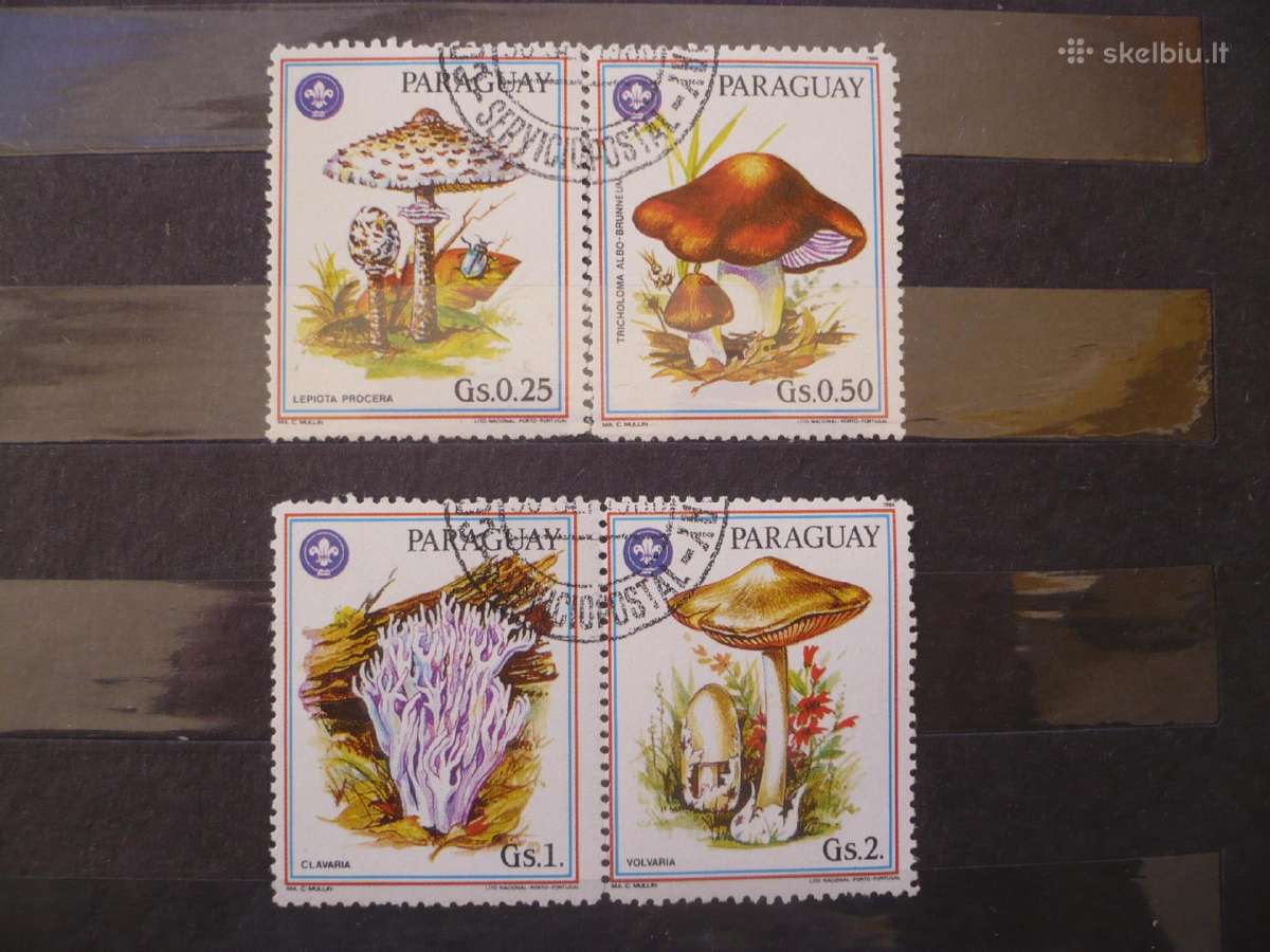 1986 m. Grybai