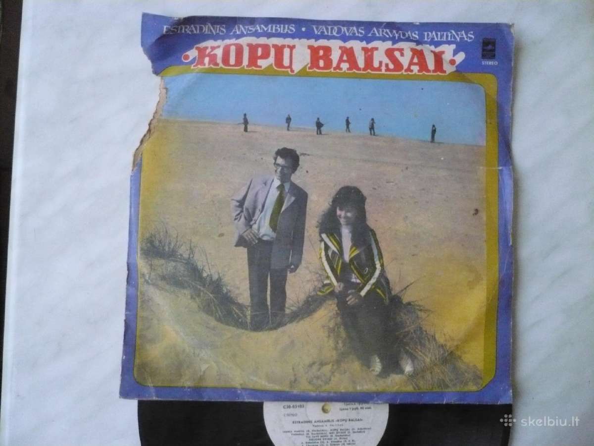 Vinilinės plokštelės projektams 12vnt - nuotraukos Nr. 3