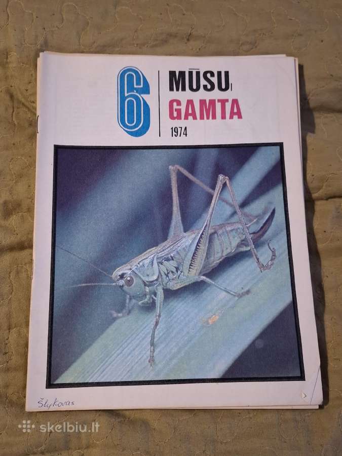 Mūsų gamta - nuotraukos Nr. 7