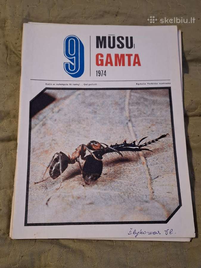 Mūsų gamta - nuotraukos Nr. 10