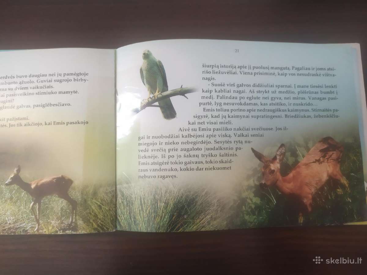 A. Kazitėnas "Pirmoji stirniuko Emio vasara" - nuotraukos Nr. 7