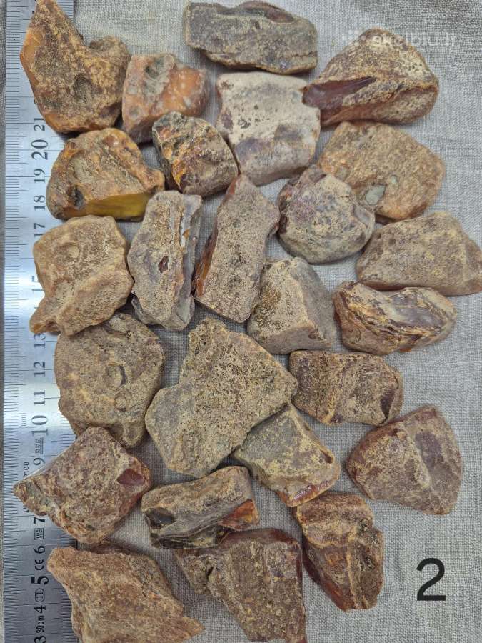 Sandėlio likvidavimas: 2kg gintaro -30%
