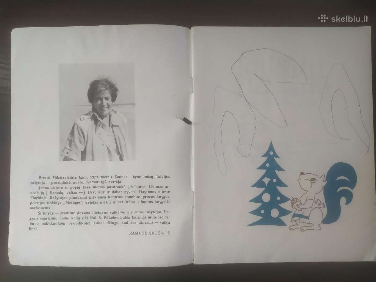 Birutė Pūkelevičiūtė "Kalėdų dovana" - nuotraukos Nr. 4