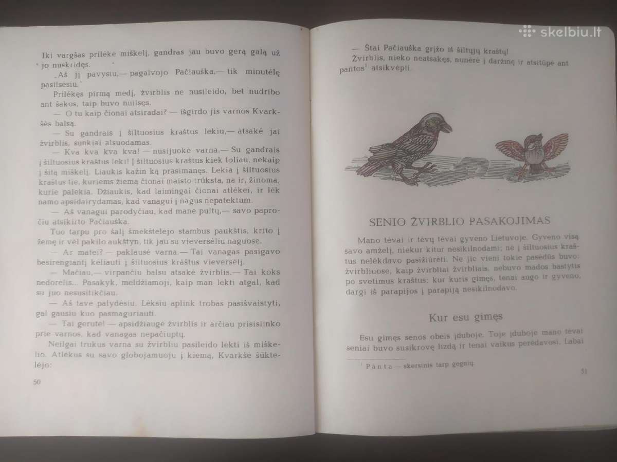 Pranas Mašiotas "Kiškis vagilis" - nuotraukos Nr. 10