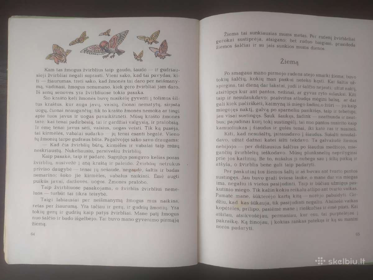 Pranas Mašiotas "Kiškis vagilis" - nuotraukos Nr. 11