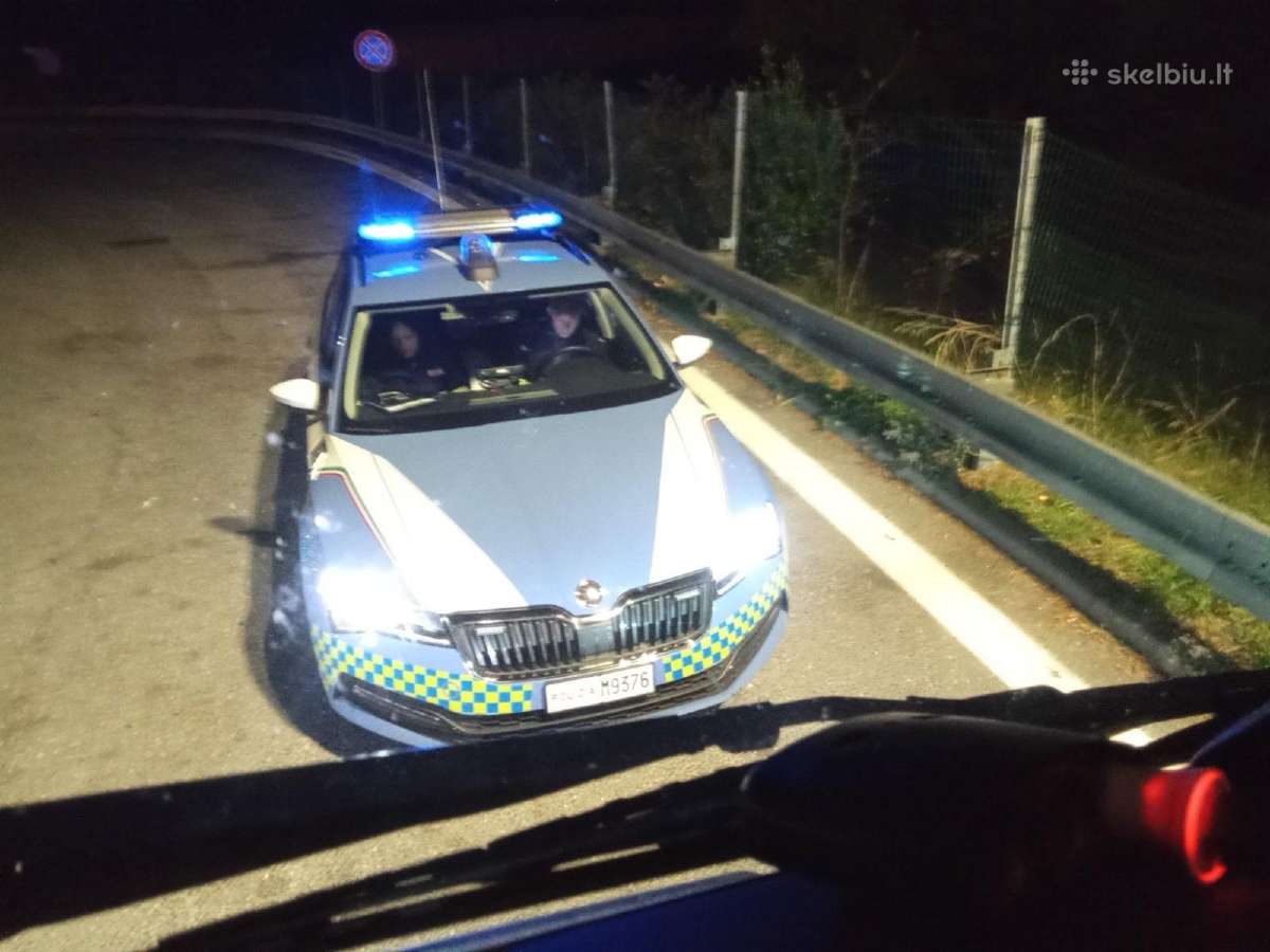 Licencijuotas transporto vadybininkas - nuotraukos Nr. 2