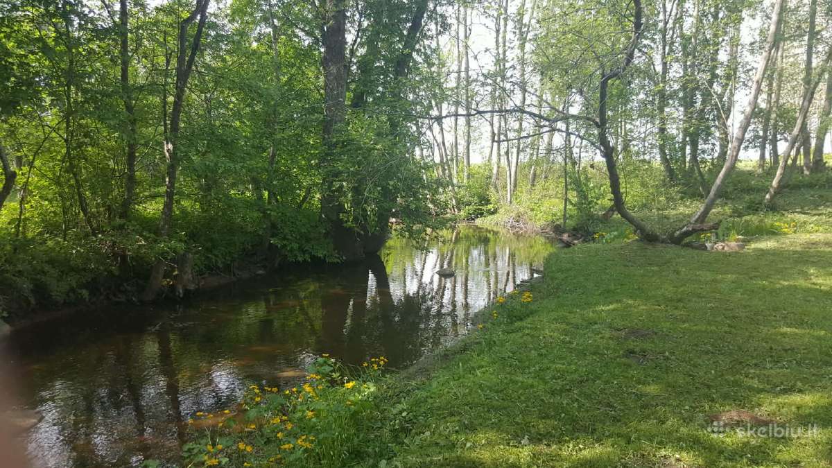 Sodyba prie upės! Miškas, žemė – sklypas 6 ha - nuotraukos Nr. 2