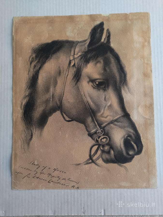 Landseer arklio studija 1902m litografija kartonas - nuotraukos Nr. 2