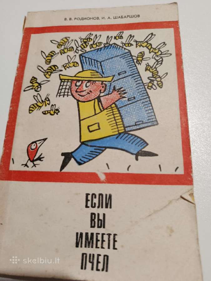 Knyga