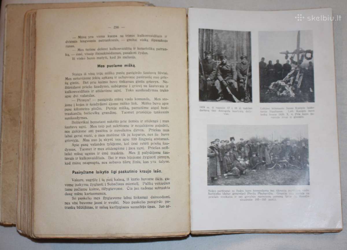 Savanorių žygiai I-II knygos tomai 1937 m. - nuotraukos Nr. 11