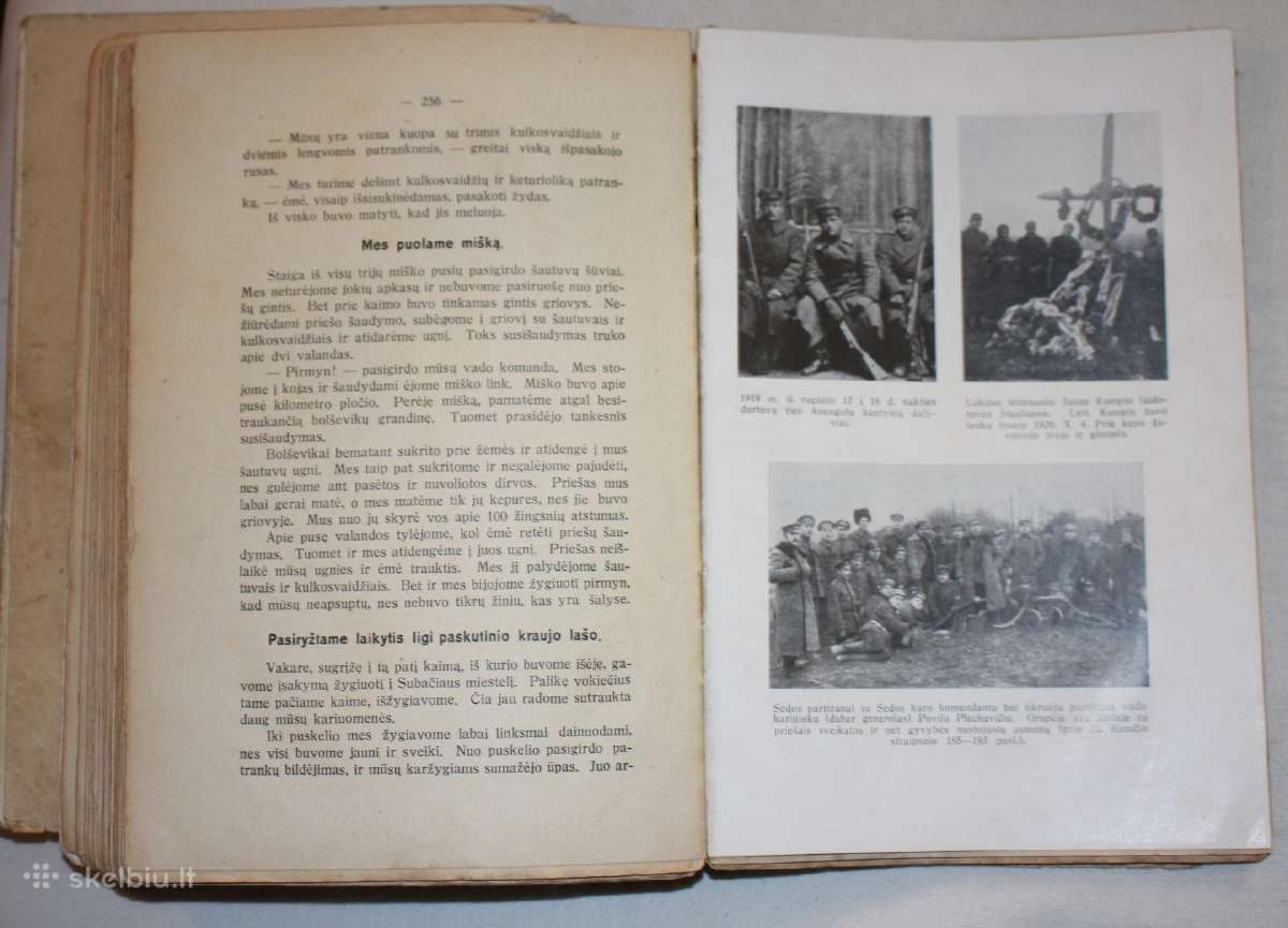 Savanorių žygiai I-II knygos tomai 1937 m. - nuotraukos Nr. 11