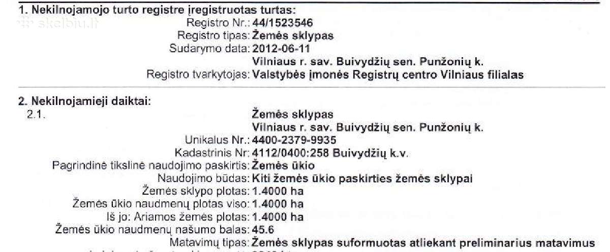Buivydžių sen. (Nemenčinės kryptis) Punžonių k. - nuotraukos Nr. 7
