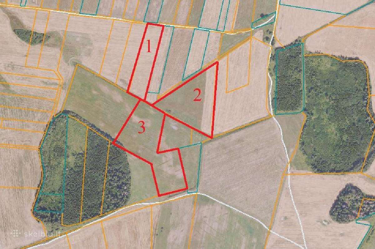 Buivydžių sen. (Nemenčinės kryptis) Punžonių k.