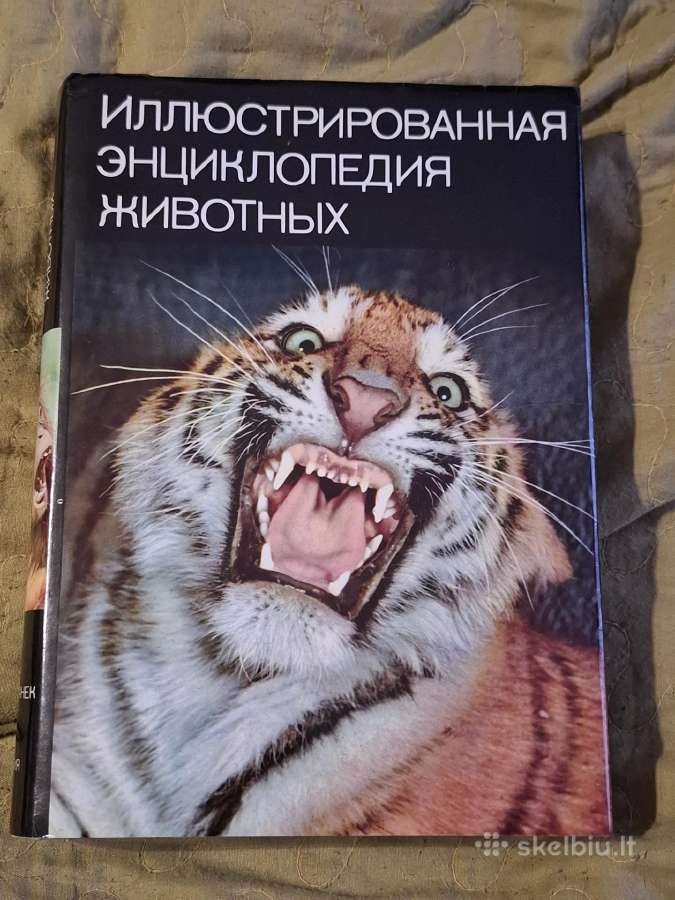 Enciklopedija