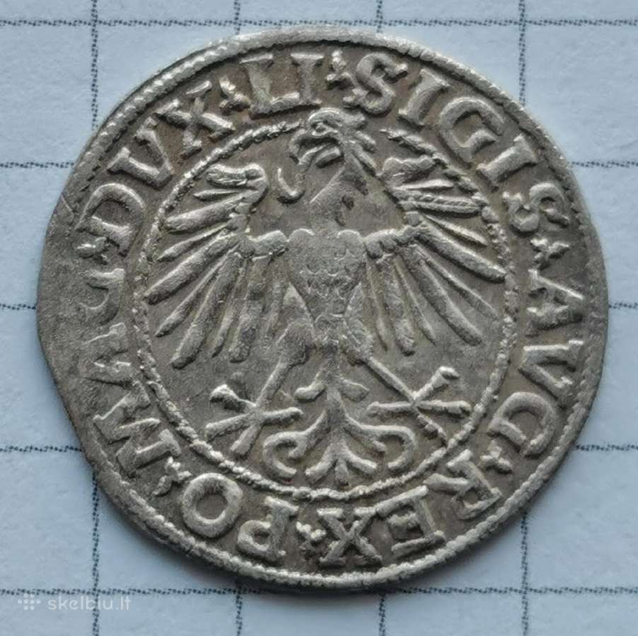 LDK Žygimantas Augustas, 1/2 grašioVilnius 1548 m - nuotraukos Nr. 2