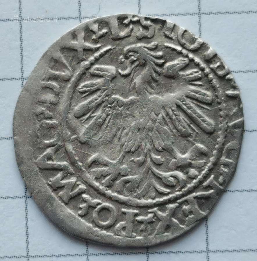 LDK Žygimantas Augustas, 1/2 grašioVilnius 1560 m - nuotraukos Nr. 2