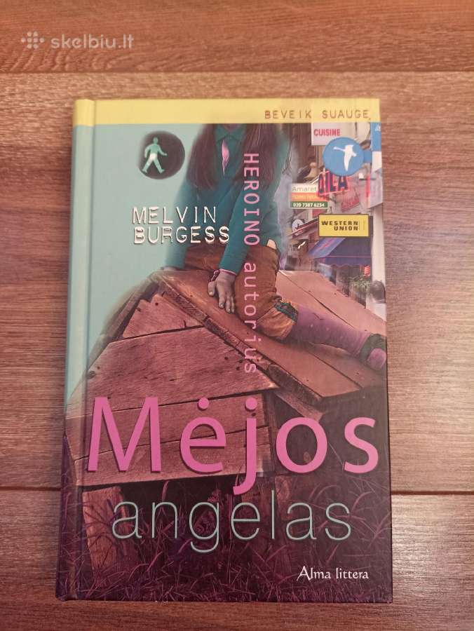 Knyga ,Mėjos angelas"