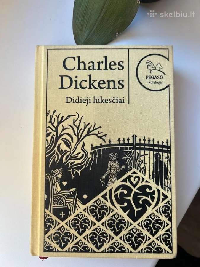 Didieji lūkesčiai