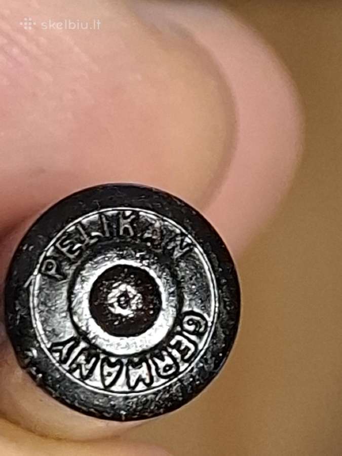 Plunksnakotis ,Pelikan'' - nuotraukos Nr. 19