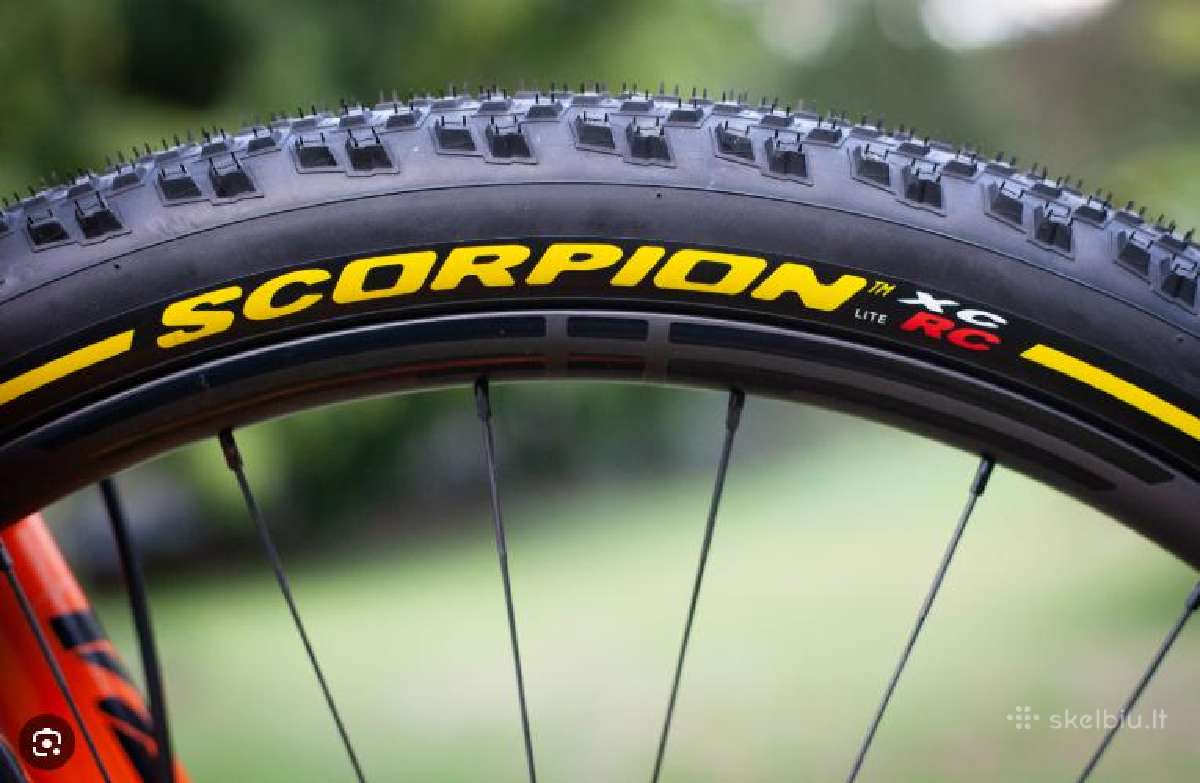Pirelli Scorpion Race XC RC Team Edition 29x2.4