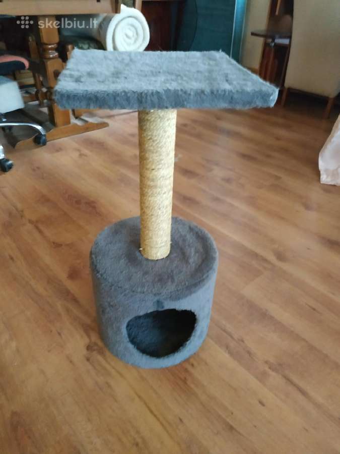 Kačių draskykle katinui