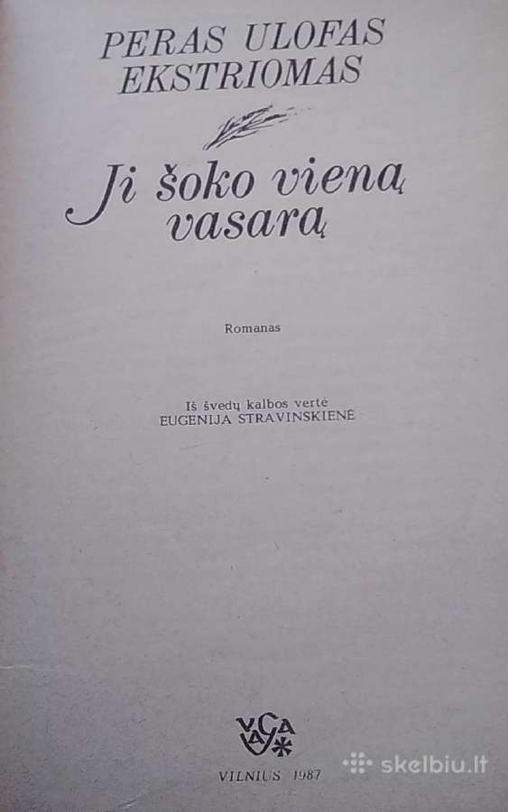 Ji šoko vieną vasarą - nuotraukos Nr. 2